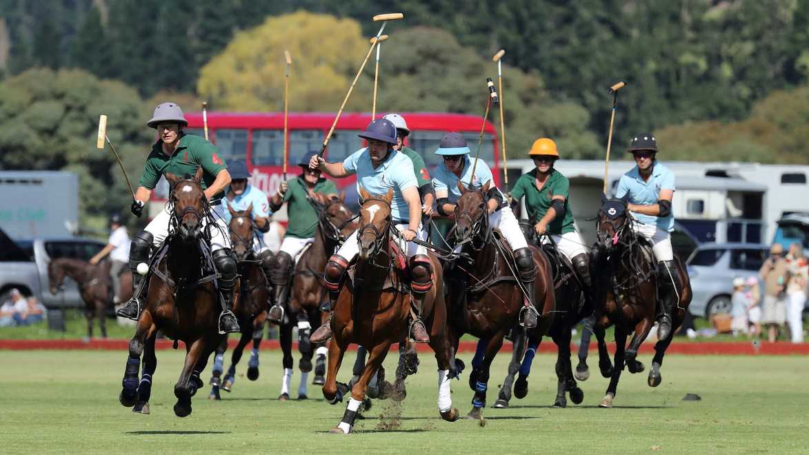 Polo new 2024 zealand auckland